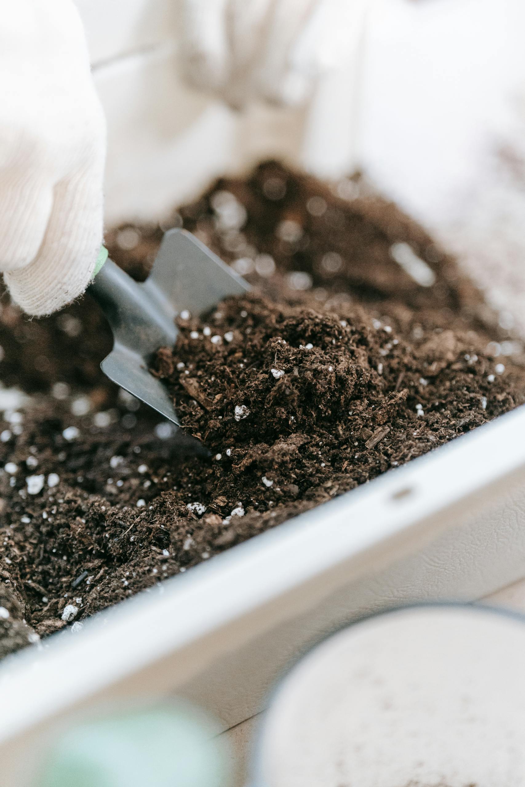 Close-up of a hand shoveling rich soil in a white container, perfect for gardening projects.